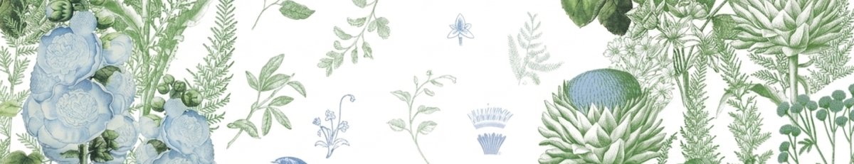 VIOOLI ApS logo